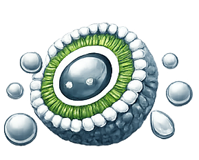 Liposome- and nanoemulsion technology