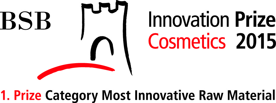 BSB Innovation Prize 2015