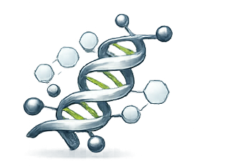 Peptide design