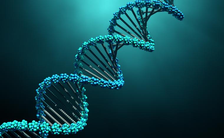 Epigenetics