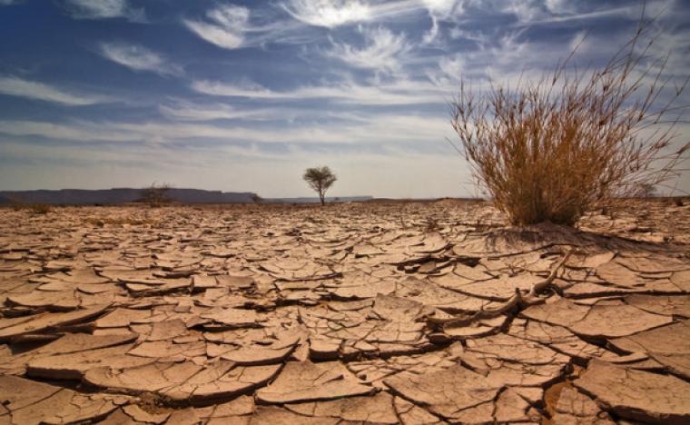 climate change
