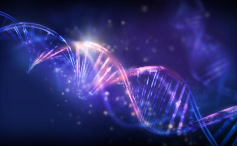 DNA